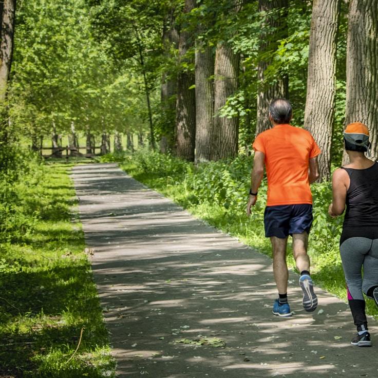 Fitness habits and routine planning